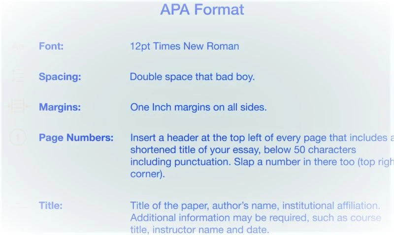 essay format