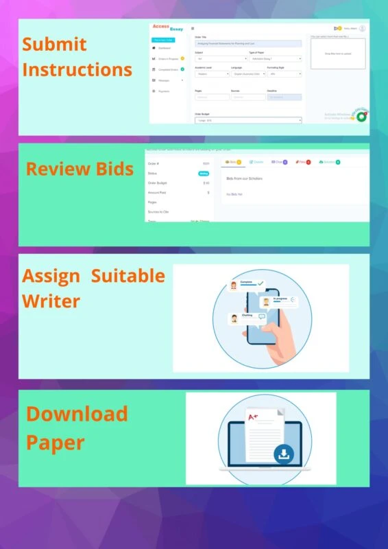 Essay writer